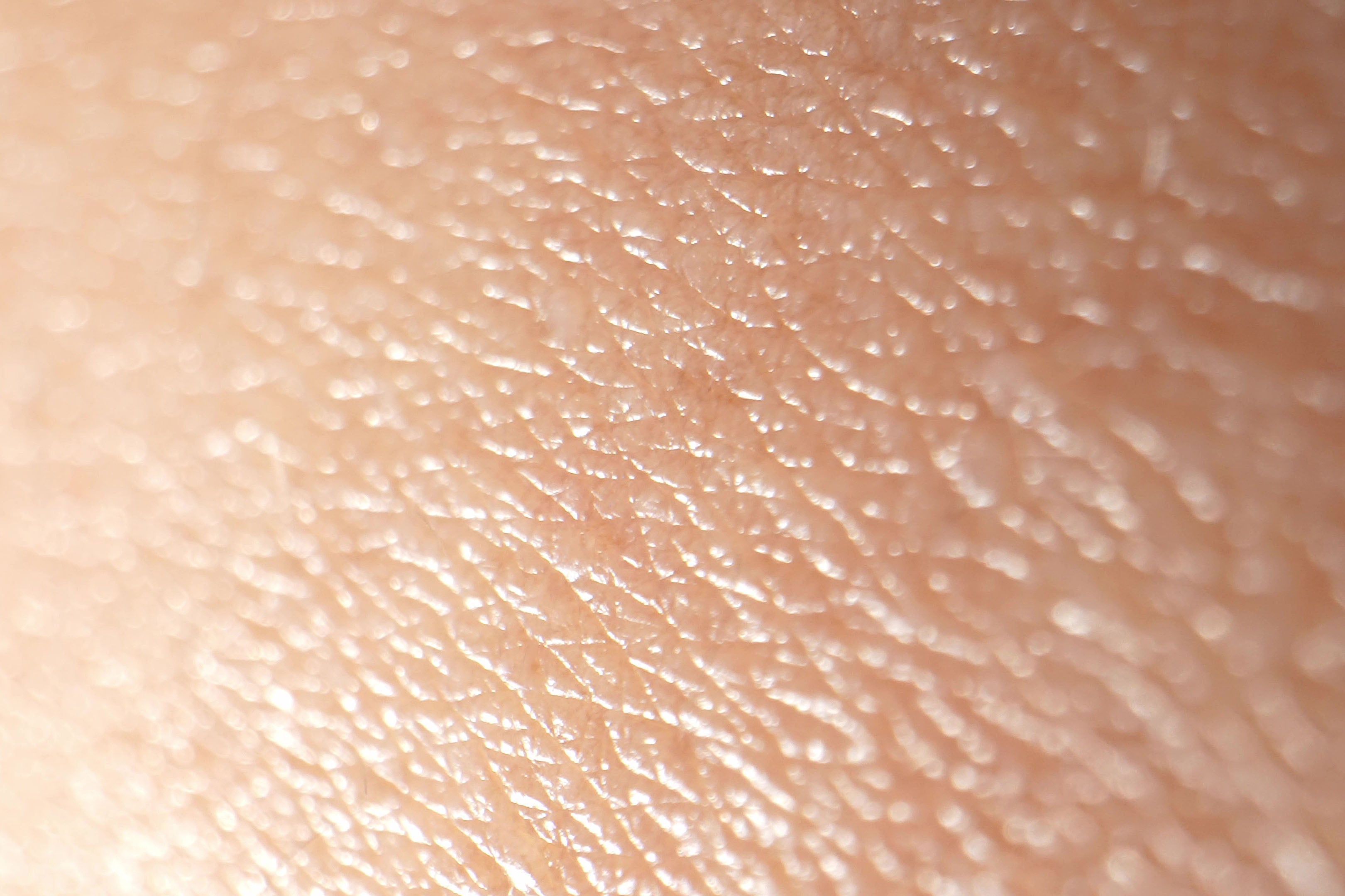 Beef Tallow Skincare: A Guide