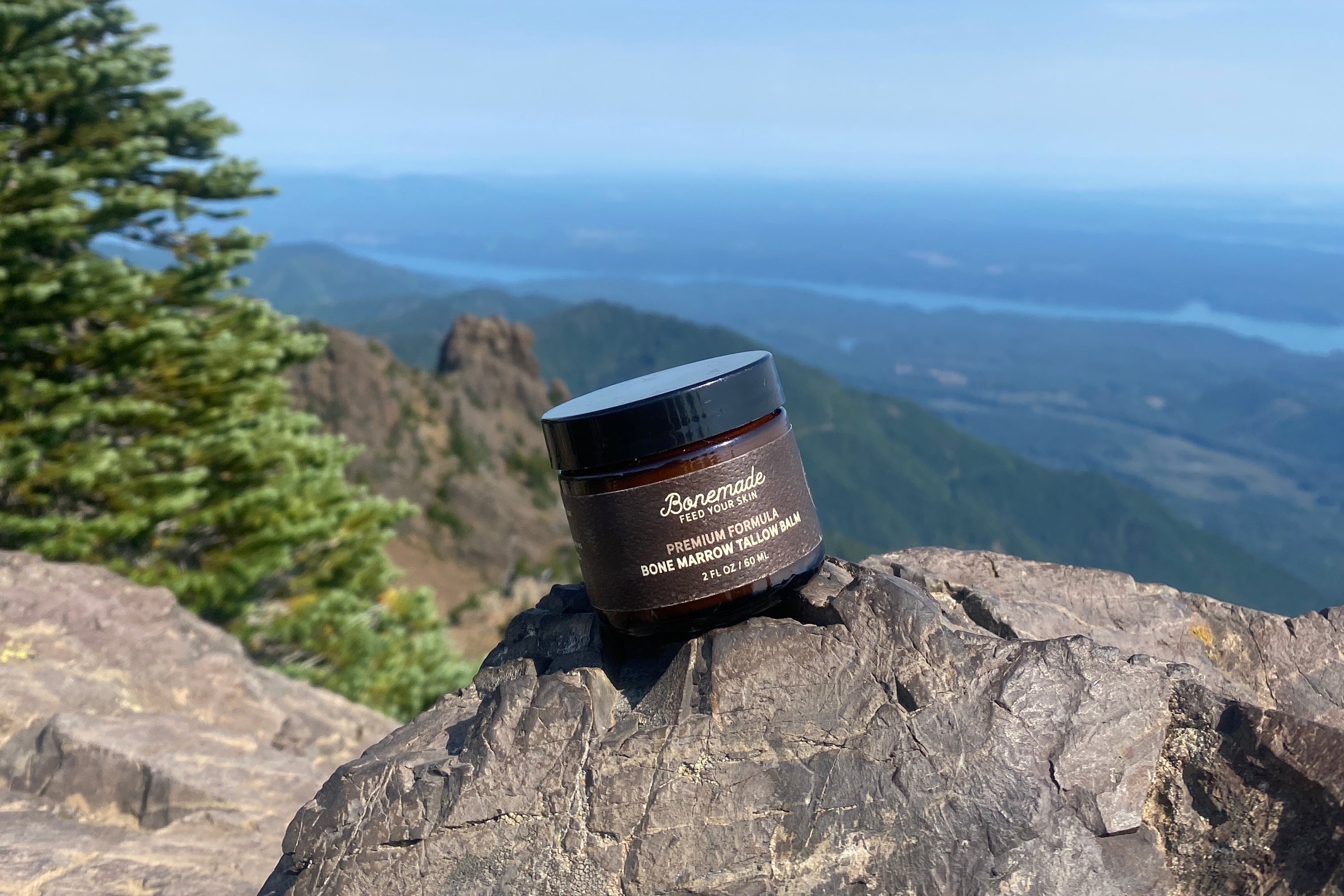 Beef Tallow Moisturizer